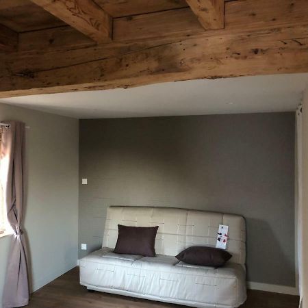 Domaine Des Dutreve Apartment Saint-Etienne-des-Oullieres ภายนอก รูปภาพ