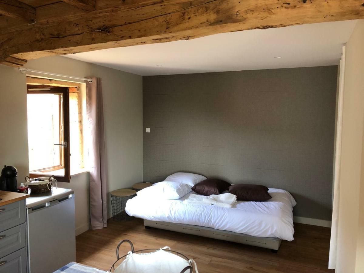 Domaine Des Dutreve Apartment Saint-Etienne-des-Oullieres ภายนอก รูปภาพ